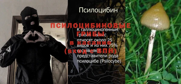 дмт Сосновый Бор