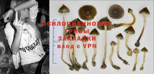 марки lsd Белокуриха